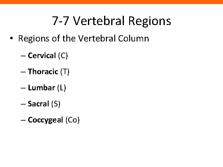 7 -7 Vertebral Regions • Regions of the Vertebral Column – Cervical (C) –