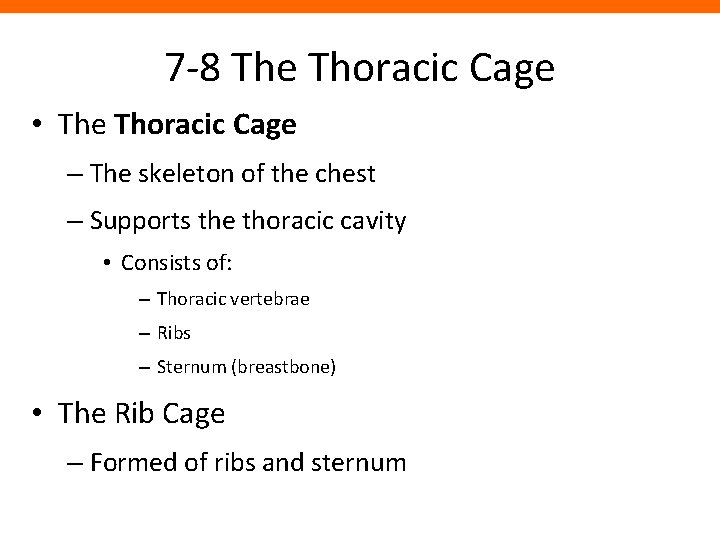 7 -8 The Thoracic Cage • The Thoracic Cage – The skeleton of the