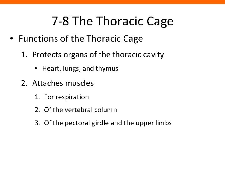 7 -8 The Thoracic Cage • Functions of the Thoracic Cage 1. Protects organs