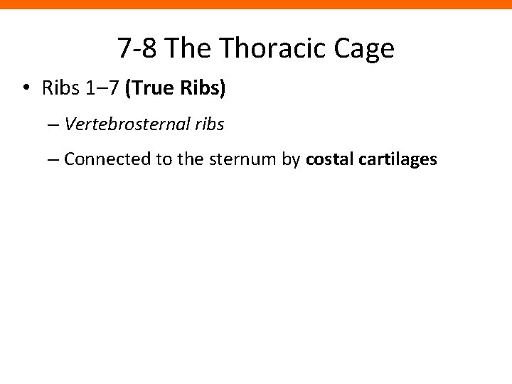 7 -8 The Thoracic Cage • Ribs 1– 7 (True Ribs) – Vertebrosternal ribs