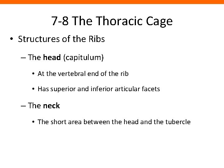 7 -8 The Thoracic Cage • Structures of the Ribs – The head (capitulum)