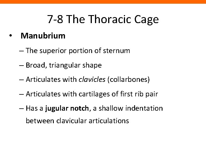 7 -8 The Thoracic Cage • Manubrium – The superior portion of sternum –