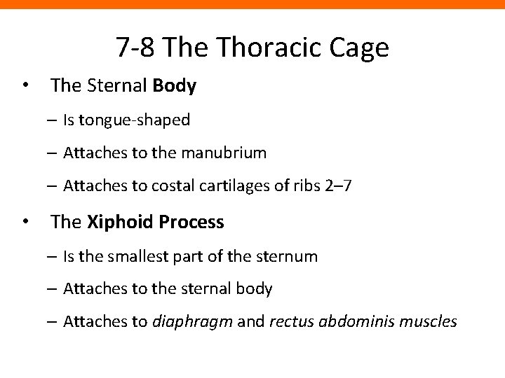 7 -8 The Thoracic Cage • The Sternal Body – Is tongue-shaped – Attaches