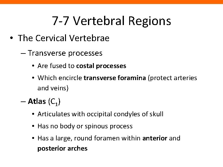 7 -7 Vertebral Regions • The Cervical Vertebrae – Transverse processes • Are fused