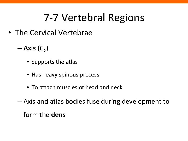7 -7 Vertebral Regions • The Cervical Vertebrae – Axis (C 2) • Supports