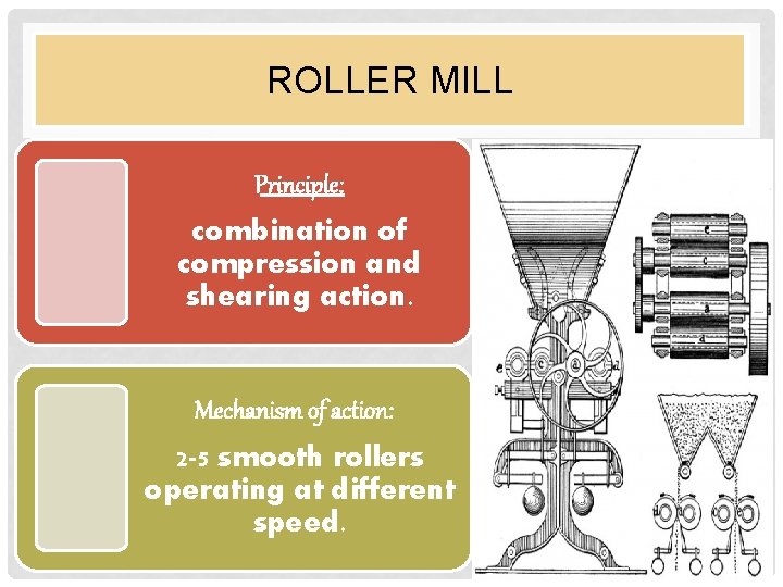 ROLLER MILL Principle: combination of compression and shearing action. Mechanism of action: 2 -5