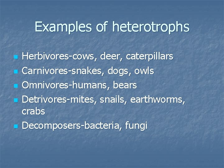 Examples of heterotrophs n n n Herbivores-cows, deer, caterpillars Carnivores-snakes, dogs, owls Omnivores-humans, bears