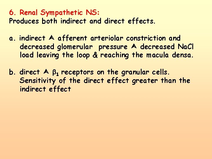 6. Renal Sympathetic NS: Produces both indirect and direct effects. a. indirect afferent arteriolar