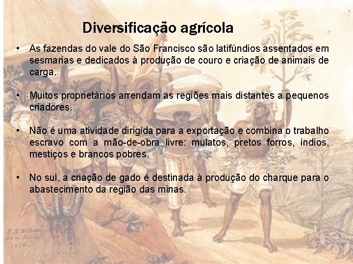 Diversificação agrícola • As fazendas do vale do São Francisco são latifúndios assentados em