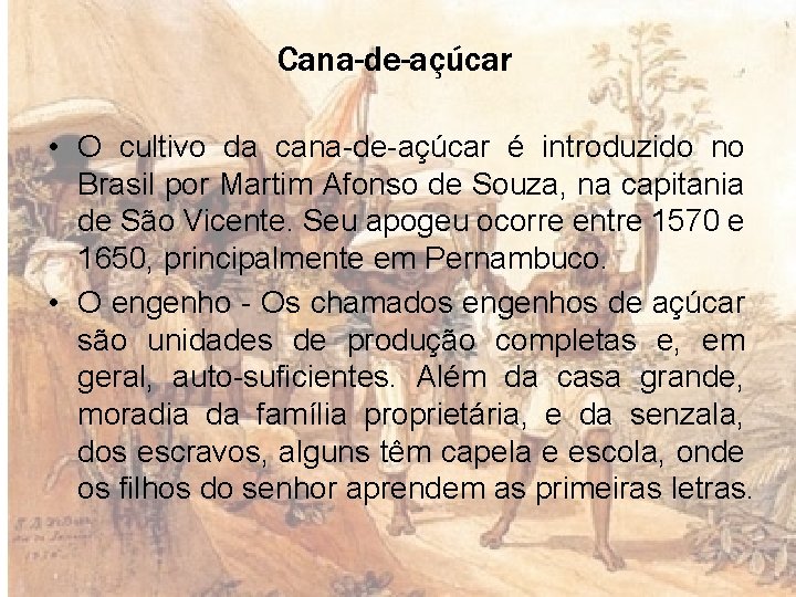 Cana-de-açúcar • O cultivo da cana-de-açúcar é introduzido no Brasil por Martim Afonso de