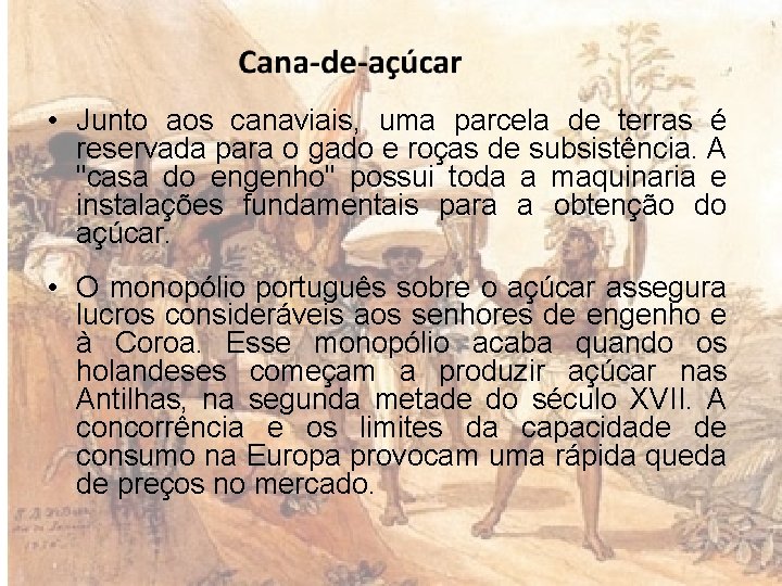  • Junto aos canaviais, uma parcela de terras é reservada para o gado