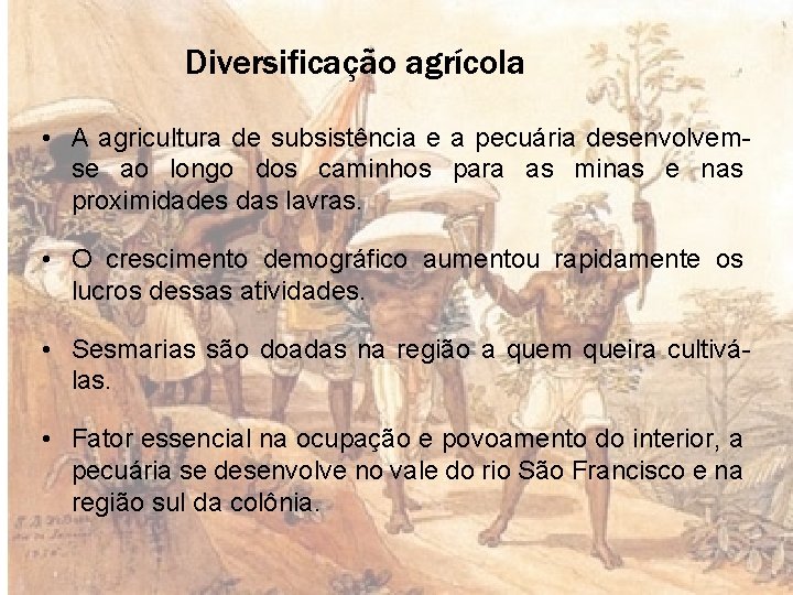 Diversificação agrícola • A agricultura de subsistência e a pecuária desenvolvemse ao longo dos