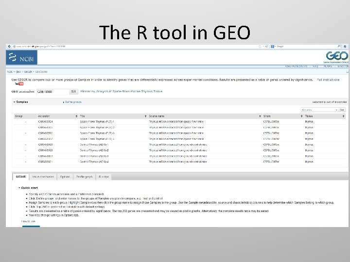 The R tool in GEO 