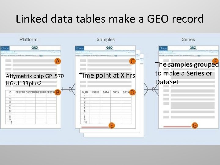 Linked data tables make a GEO record Affymetrix chip GPL 570 HG-U 133 plus