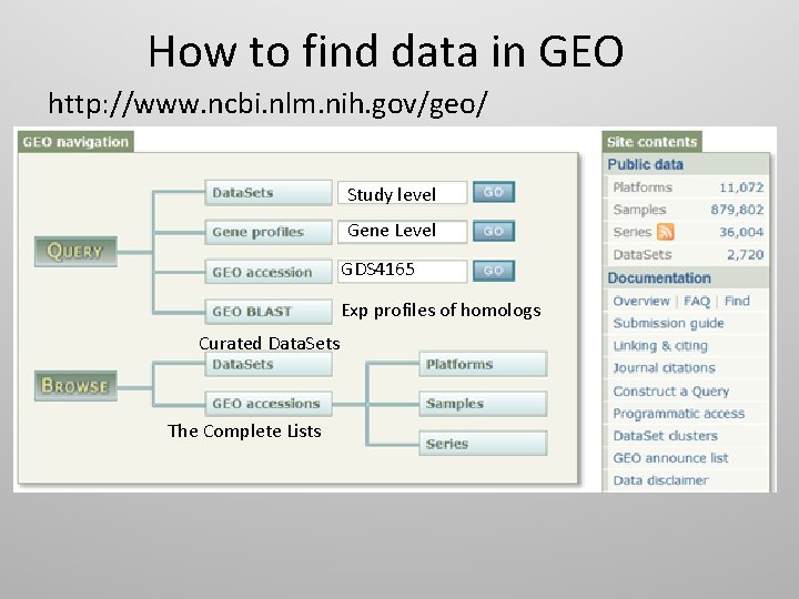 How to find data in GEO http: //www. ncbi. nlm. nih. gov/geo/ Study level
