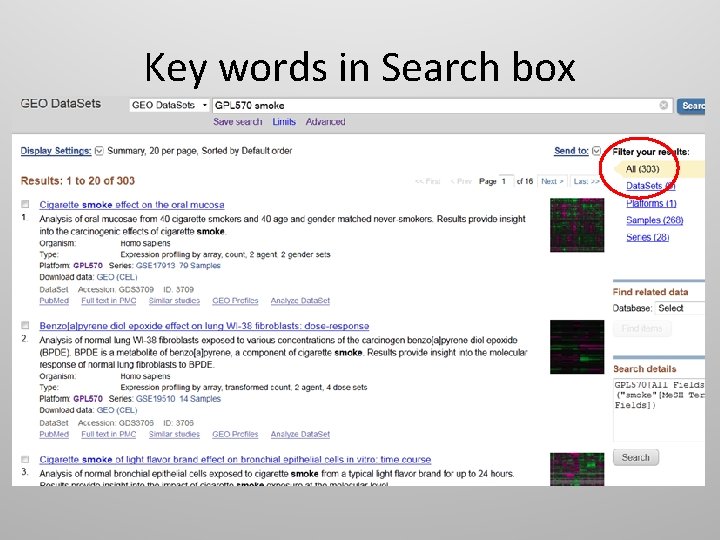Key words in Search box 