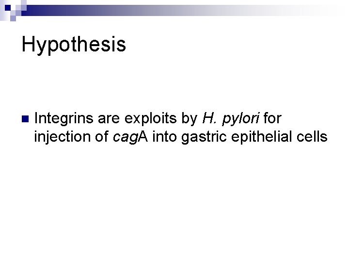Hypothesis n Integrins are exploits by H. pylori for injection of cag. A into