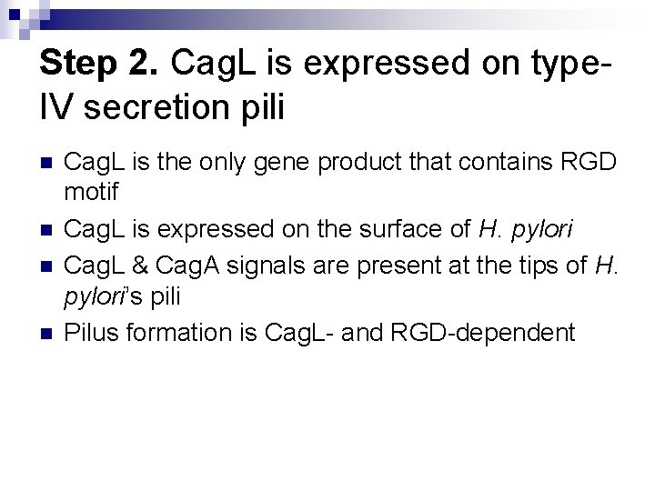 Step 2. Cag. L is expressed on type. IV secretion pili n n Cag.