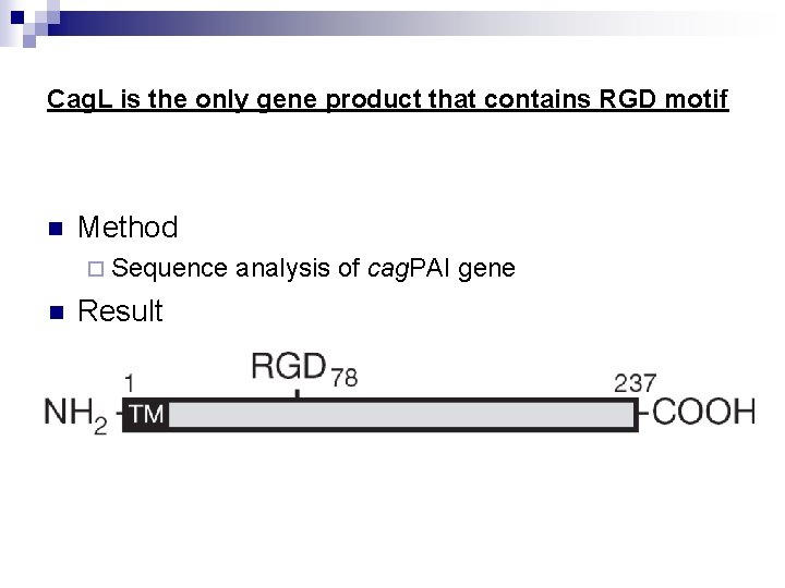 Cag. L is the only gene product that contains RGD motif n Method ¨