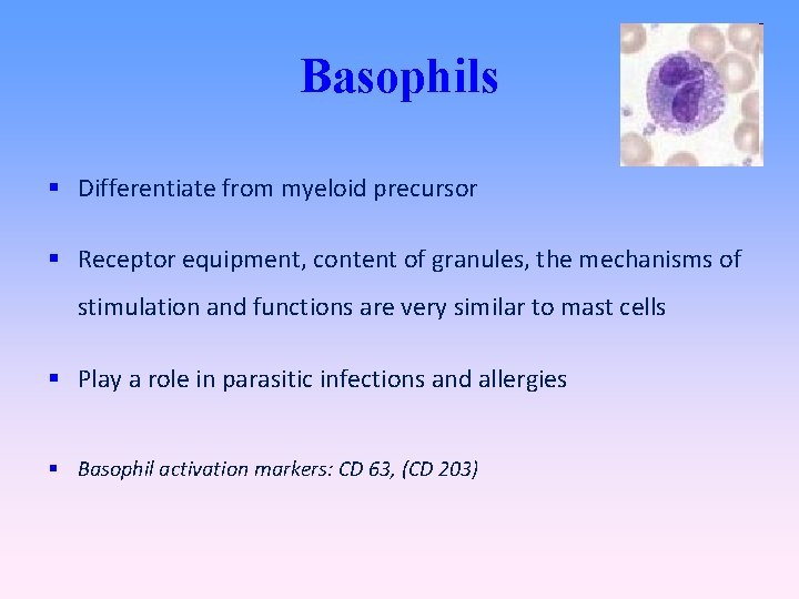 Basophils Differentiate from myeloid precursor Receptor equipment, content of granules, the mechanisms of stimulation