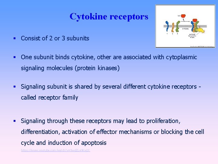 Cytokine receptors Consist of 2 or 3 subunits One subunit binds cytokine, other are