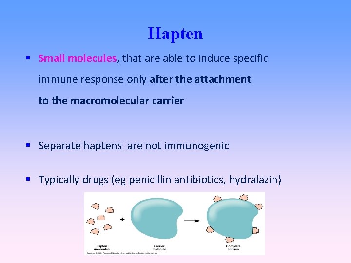 Hapten Small molecules, that are able to induce specific immune response only after the