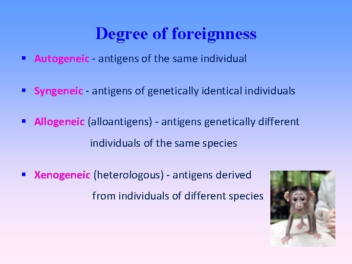 Degree of foreignness Autogeneic - antigens of the same individual Syngeneic - antigens of