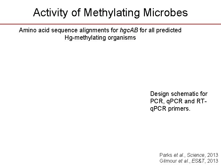 Activity of Methylating Microbes Amino acid sequence alignments for hgc. AB for all predicted Activity of Methylating Microbes Amino acid sequence alignments for hgc. AB for all predicted