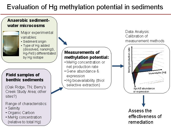 Evaluation of Hg methylation potential in sediments Anaerobic sedimentwater microcosms • Sediment origin • Evaluation of Hg methylation potential in sediments Anaerobic sedimentwater microcosms • Sediment origin •