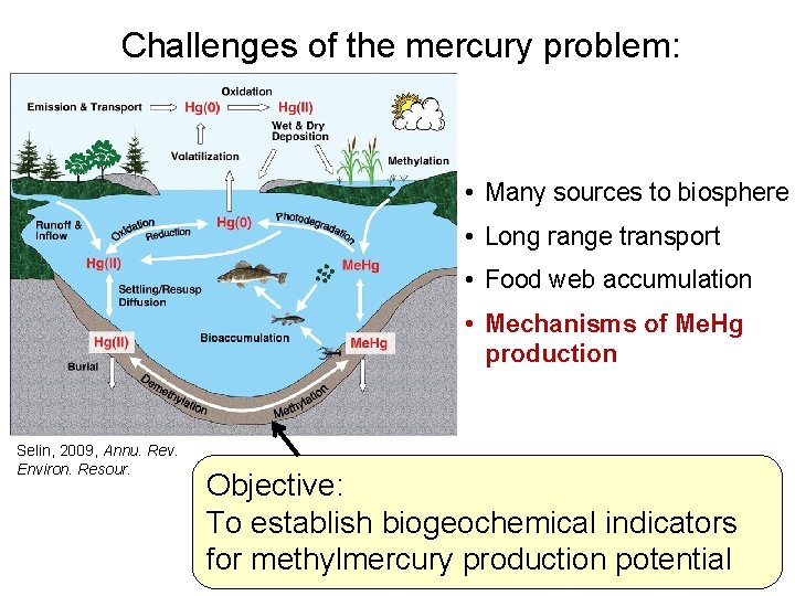 Challenges of the mercury problem: • Many sources to biosphere • Long range transport Challenges of the mercury problem: • Many sources to biosphere • Long range transport
