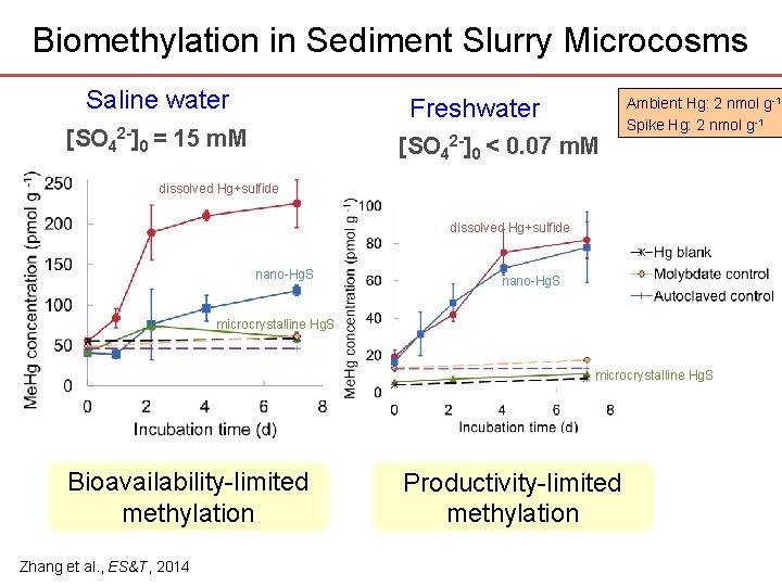 Biomethylation in Sediment Slurry Microcosms Saline water Freshwater [SO 42 -]0 = 15 m.