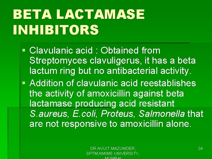 BETA LACTAMASE INHIBITORS § Clavulanic acid : Obtained from Streptomyces clavuligerus, it has a