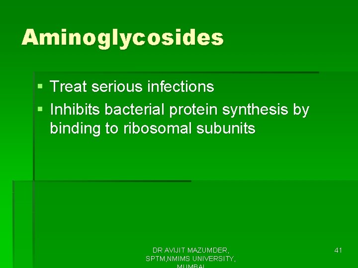 Aminoglycosides § Treat serious infections § Inhibits bacterial protein synthesis by binding to ribosomal
