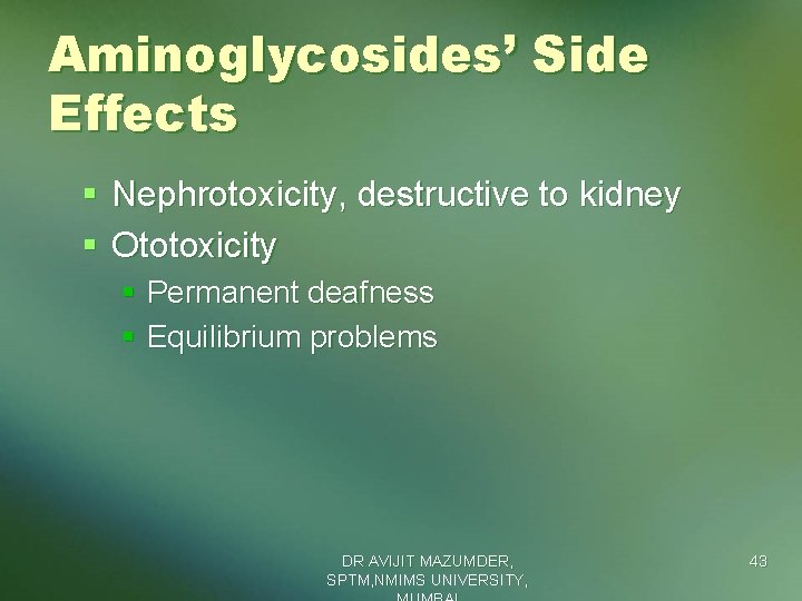 Aminoglycosides’ Side Effects § Nephrotoxicity, destructive to kidney § Ototoxicity § Permanent deafness §