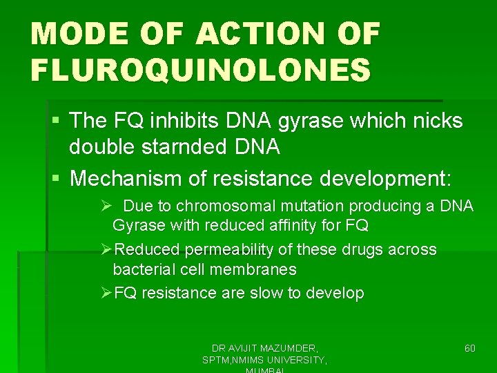 MODE OF ACTION OF FLUROQUINOLONES § The FQ inhibits DNA gyrase which nicks double