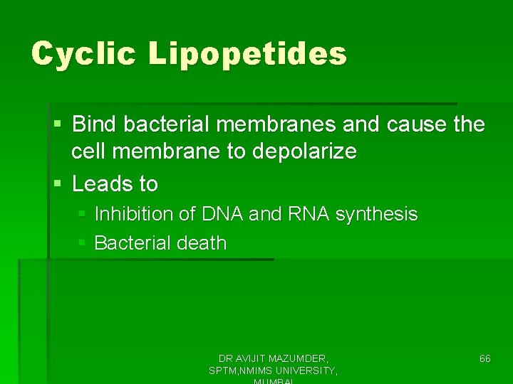 Cyclic Lipopetides § Bind bacterial membranes and cause the cell membrane to depolarize §