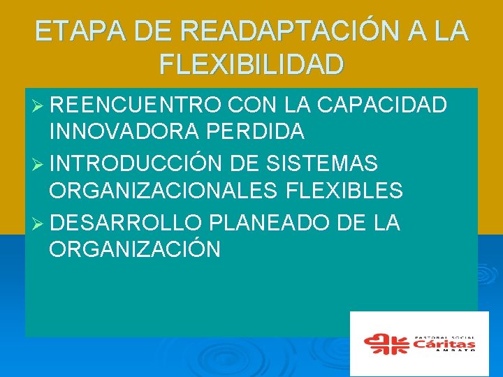 ETAPA DE READAPTACIÓN A LA FLEXIBILIDAD Ø REENCUENTRO CON LA CAPACIDAD INNOVADORA PERDIDA Ø