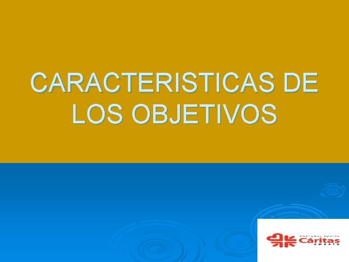 CARACTERISTICAS DE LOS OBJETIVOS 