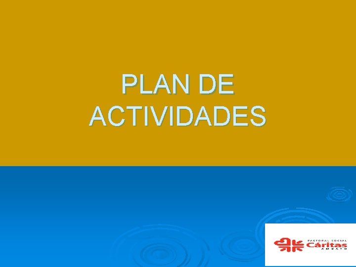 PLAN DE ACTIVIDADES 