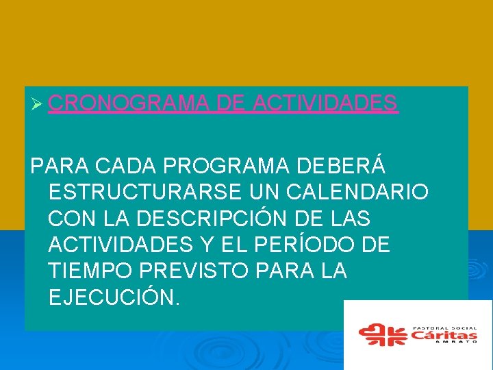 Ø CRONOGRAMA DE ACTIVIDADES PARA CADA PROGRAMA DEBERÁ ESTRUCTURARSE UN CALENDARIO CON LA DESCRIPCIÓN