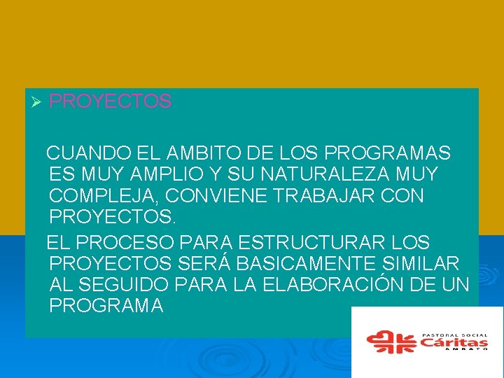 Ø PROYECTOS CUANDO EL AMBITO DE LOS PROGRAMAS ES MUY AMPLIO Y SU NATURALEZA