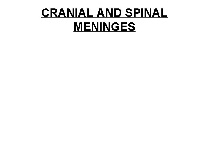 CRANIAL AND SPINAL MENINGES 