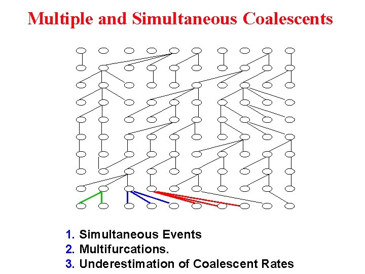 Multiple and Simultaneous Coalescents 1. Simultaneous Events 2. Multifurcations. 3. Underestimation of Coalescent Rates