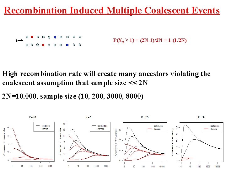 Recombination Induced Multiple Coalescent Events 1 P(X 2 > 1) = (2 N-1)/2 N