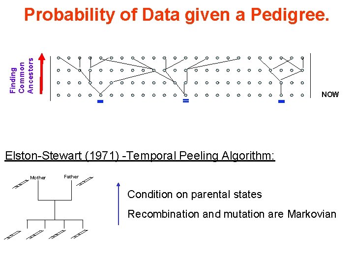 Finding Common Ancestors Probability of Data given a Pedigree. NOW Elston-Stewart (1971) -Temporal Peeling