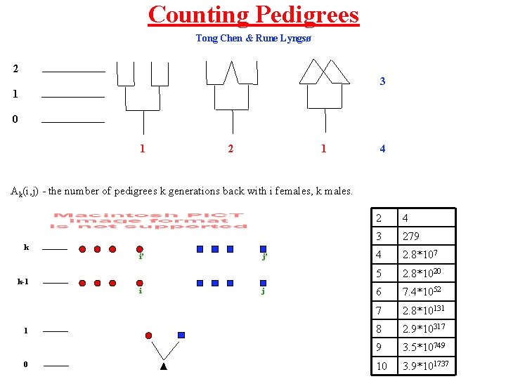 Counting Pedigrees Tong Chen & Rune Lyngsø 2 3 1 0 1 2 1