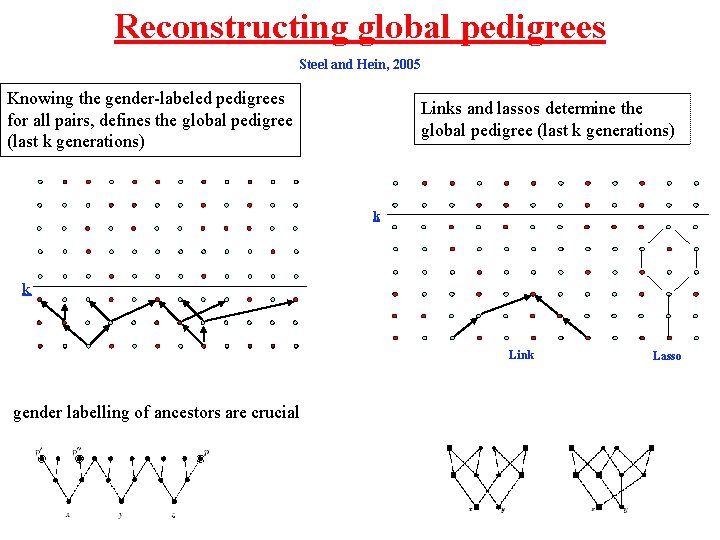 Reconstructing global pedigrees Steel and Hein, 2005 Knowing the gender-labeled pedigrees for all pairs,