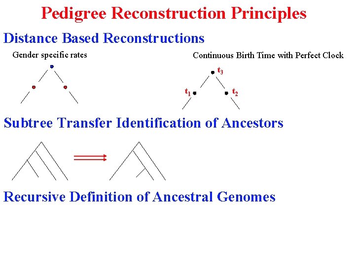 Pedigree Reconstruction Principles Distance Based Reconstructions Gender specific rates Continuous Birth Time with Perfect