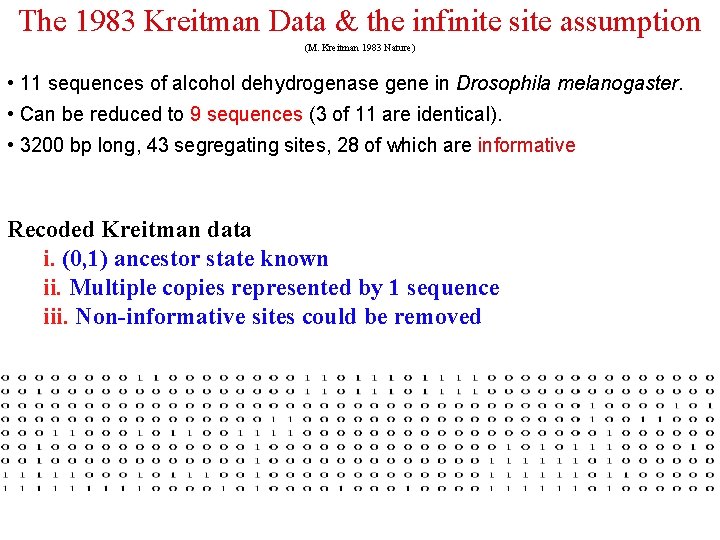 The 1983 Kreitman Data & the infinite site assumption (M. Kreitman 1983 Nature) •