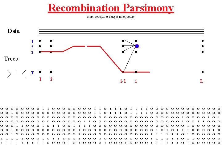 Recombination Parsimony Hein, 1990, 93 & Song & Hein, 2002+ Data 1 2 3